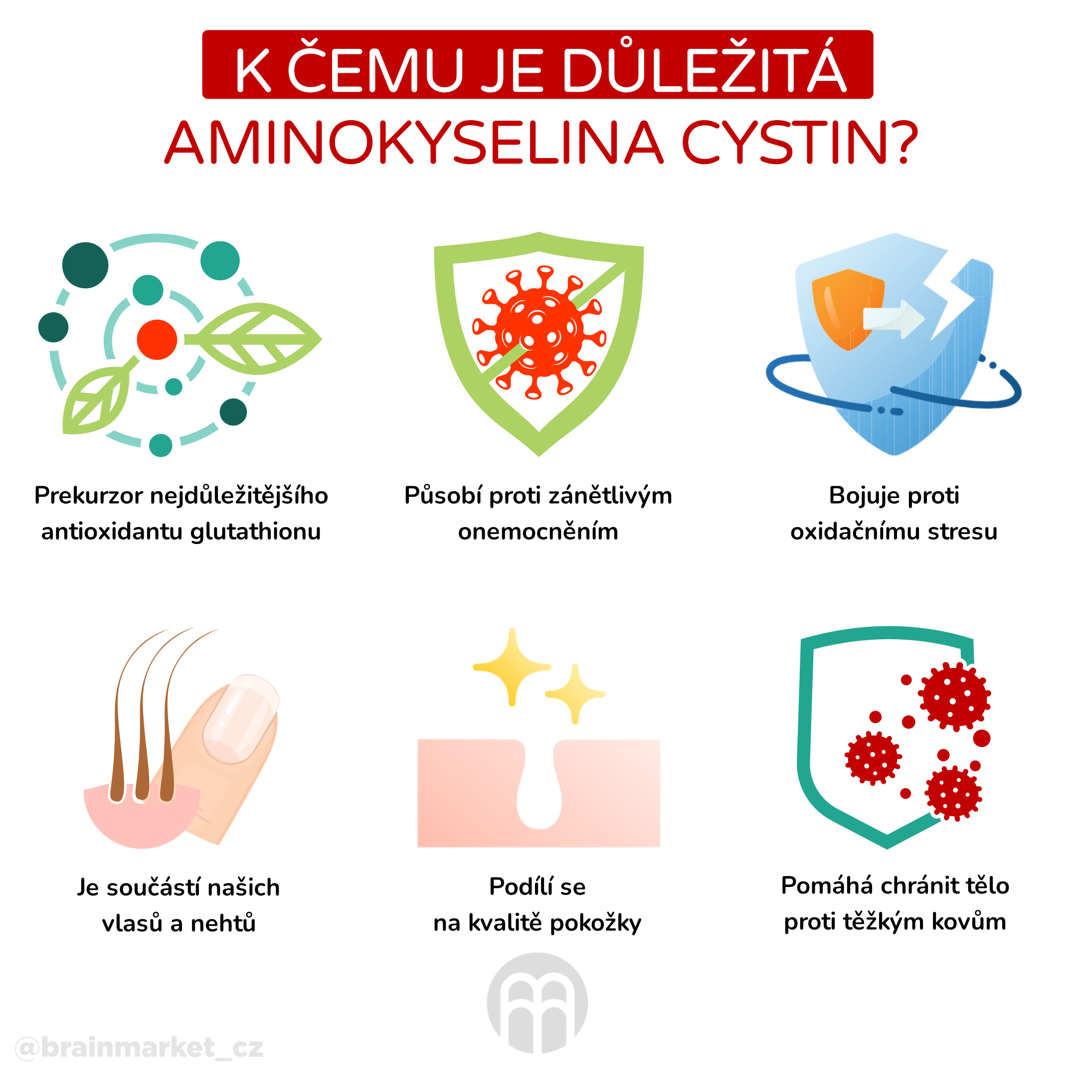 K čemu je důležitá aminokyselina cystin__infografika_cz